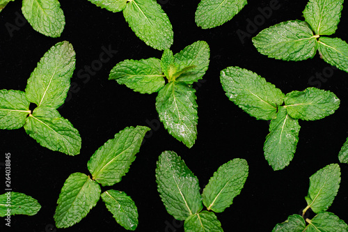 Fresh organic green mint leaves isolated on black background.