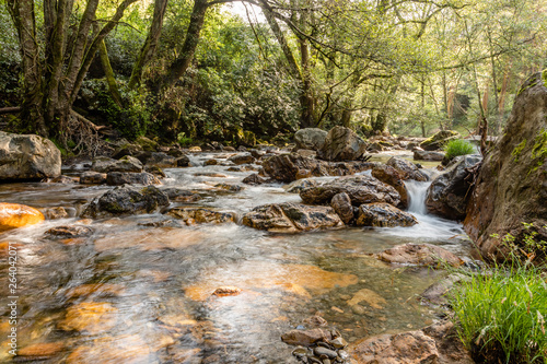 Rough mountain river with white foam flows among the rocks and trees.