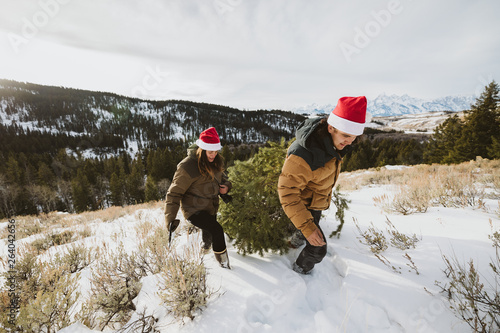 Couple cuts and drags chritmas tree in the mountains of wyoming photo