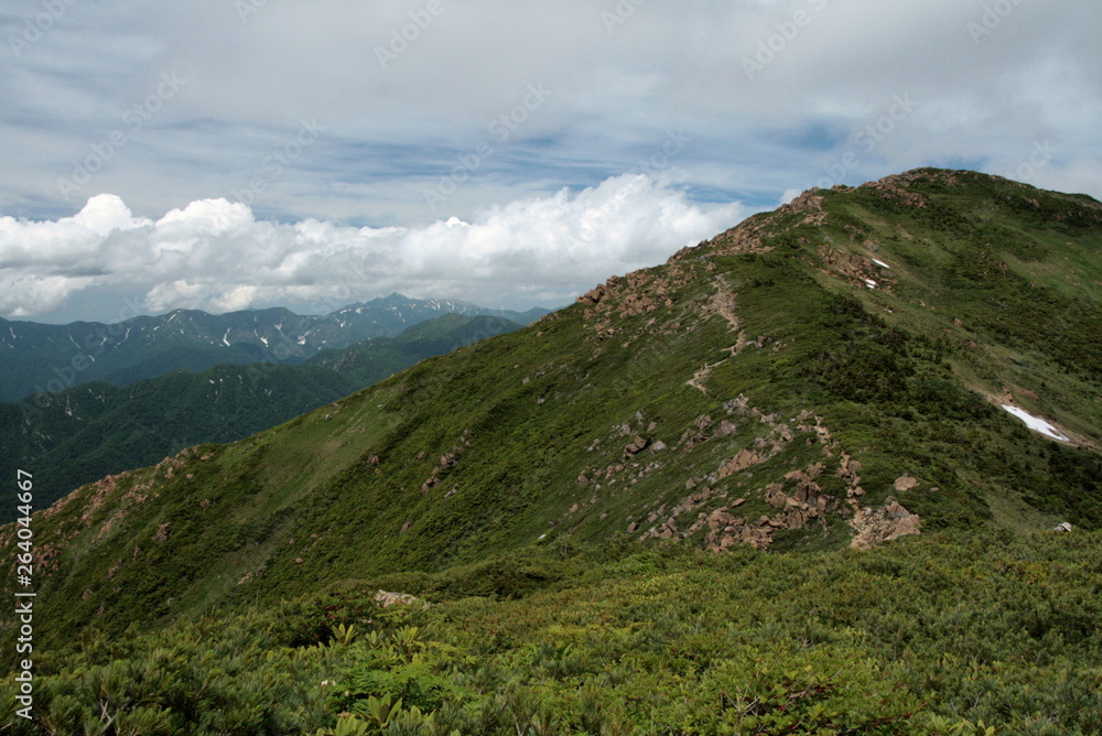 Fototapeta premium 至仏山 山頂への道 夏7月