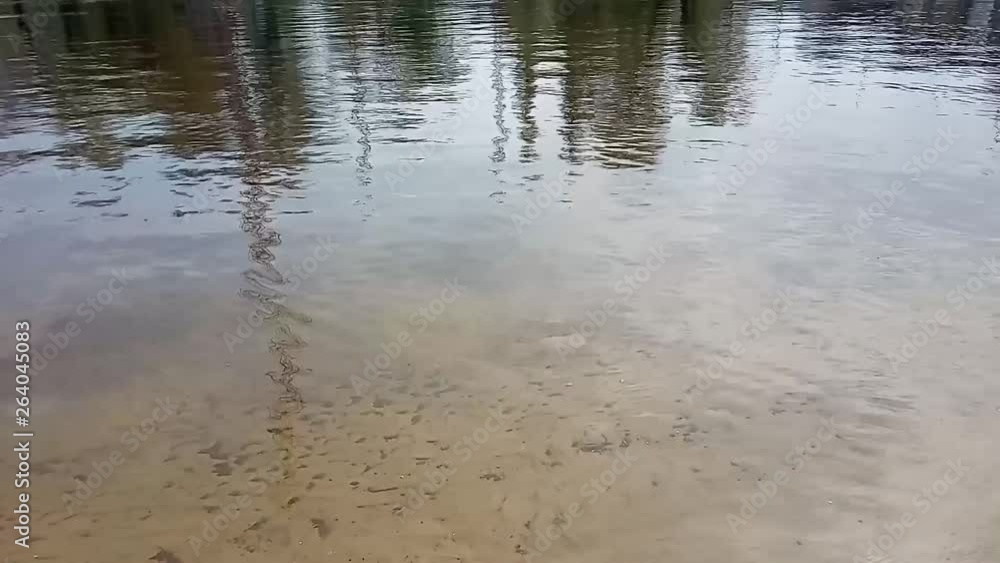 Ripples on the water, the wind. Dynamic video substrate, screen saver. Meditative video drawing. Video clip. Ripples on the water, the wind. Dynamic video substrate, screen saver. Meditative video drawing. Video clip.