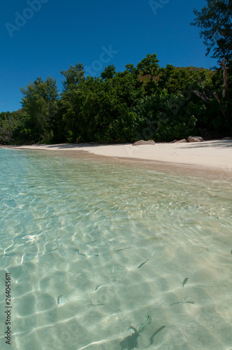 view of the coastline beaches of the island of Curieuse photo