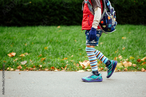 The bottom half off a child displaying unique fashion sense