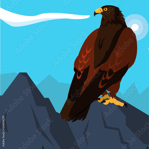 beautiful eagle majestic bird in the landsscape photo