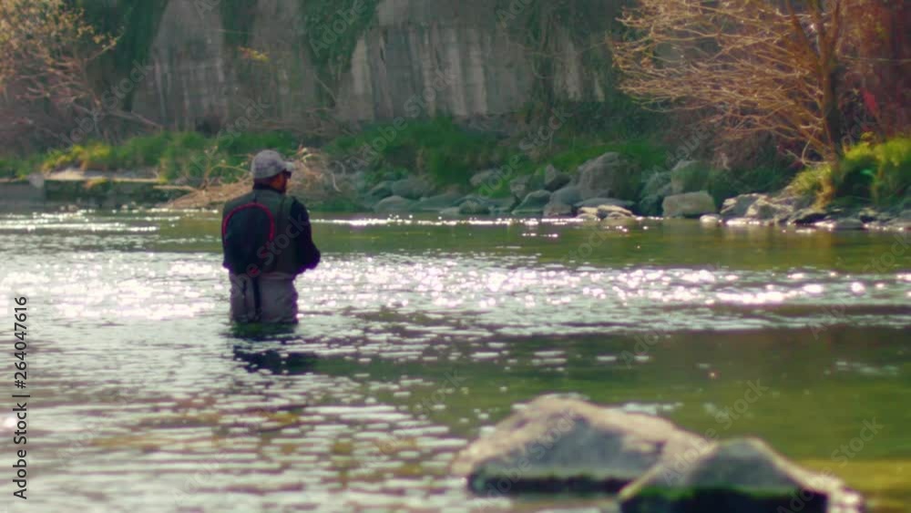 Flyfish fisherman in river looking for fishes Flyfish fisherman in river looking for fishes