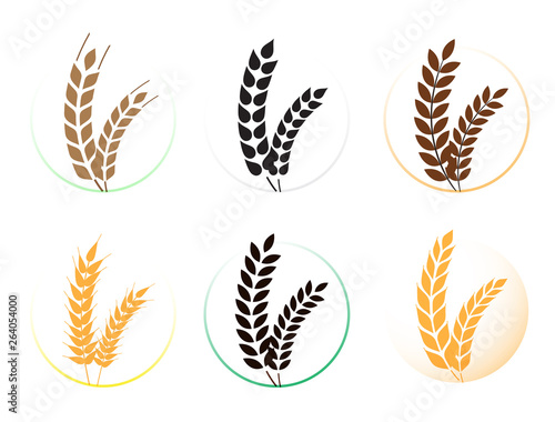 Wheat grains of different shapes set. A set of icons ready to use in your design. Vector icons can be used on different backgrounds. EPS10.