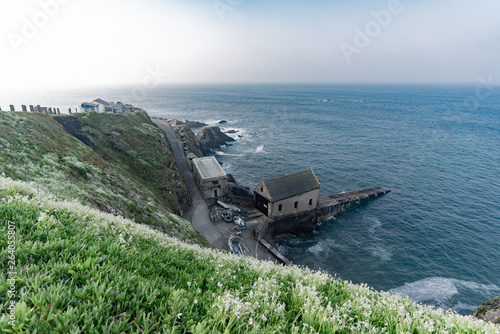 wild flowers along the road to the ocean
