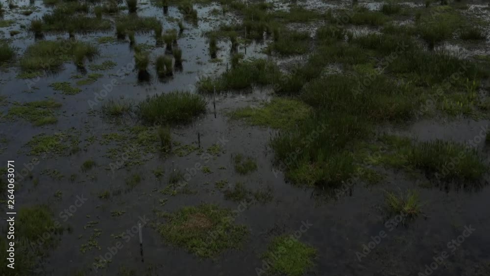 Flyover of a Florida Marsh with Fence Line Flyover of a Florida Marsh with Fence Line