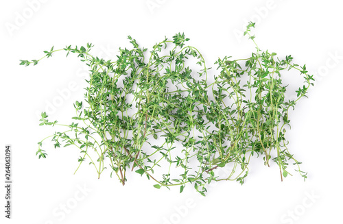 Thyme fresh herb closeup isolated on white background.
