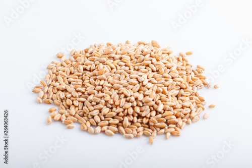 Heap of wheat grains isolated on white background.