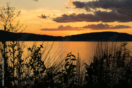 Fototapeta Naklejka Na Ścianę i Meble -  Silhouettes of plants in the foreground, as the sunset adds a beautiful golden glow to the evening sky, Hudson River Valley, Upstate New York, NY