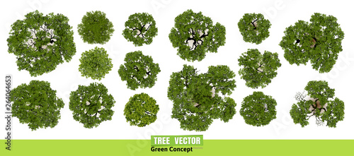 Trees top view for landscape vector illustration.