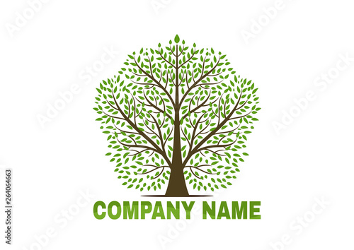 tree vector icon. logo design elements.
