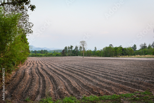 Agriculture plow prepare the soil for begin planting cassava field farmland
