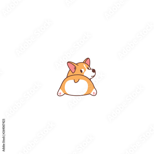 Cute corgi butt, welsh corgi dog looking back, vector illustration.