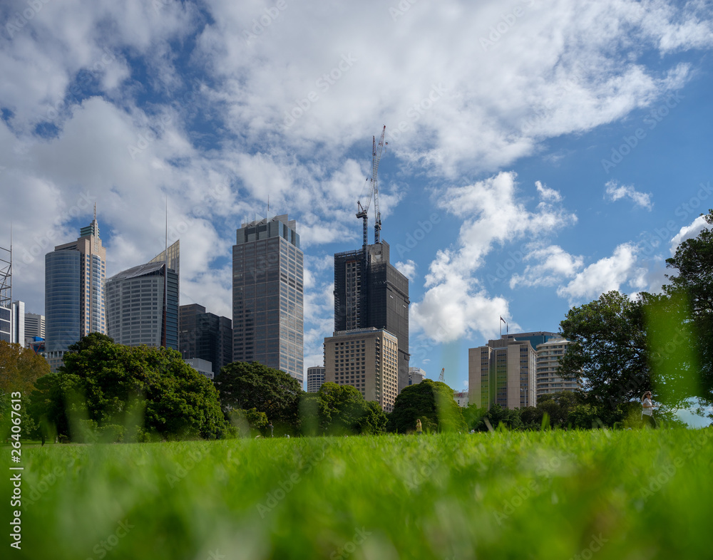 Sydney high towers in green park