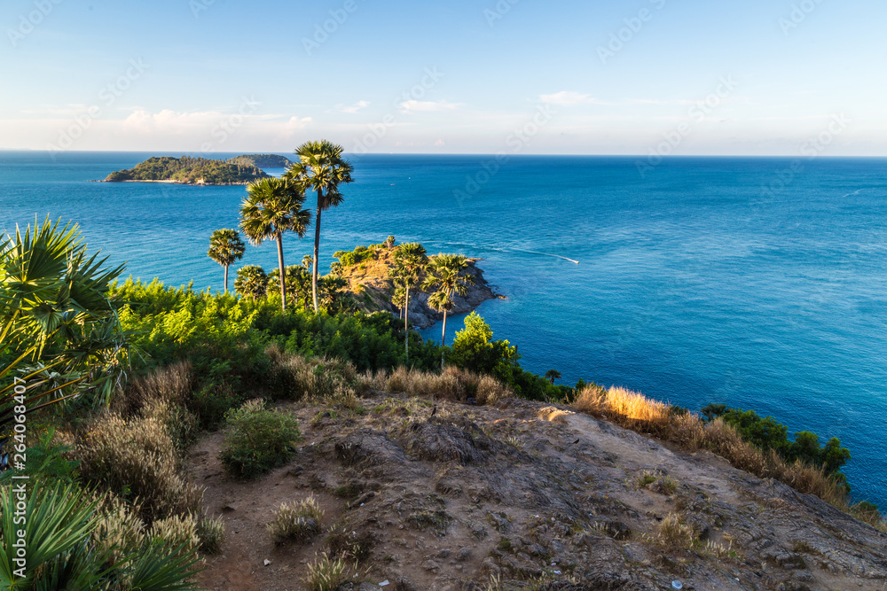 Sea coastline island with palm tree blue sky