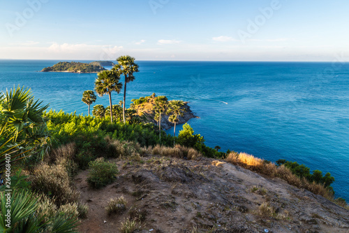 Sea coastline island with palm tree blue sky