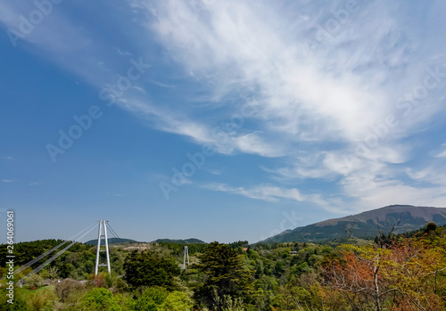 九重夢大吊橋 新緑