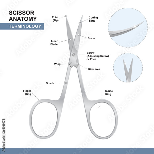 Parts of Nail Cutting Shears. Terminology of Scissors. Manicure and Pedicure Care Tools. Vector Illustration