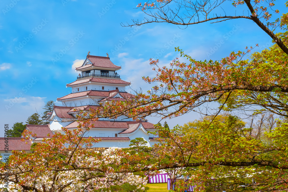 Aizu-Wakamatsu Castle with cherry blossom in Japan Aizu-Wakamatsu Castle with cherry blossom in Japan