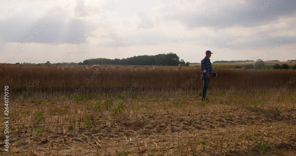Farmer using digital tablet while examining field Farmer using digital tablet while examining field