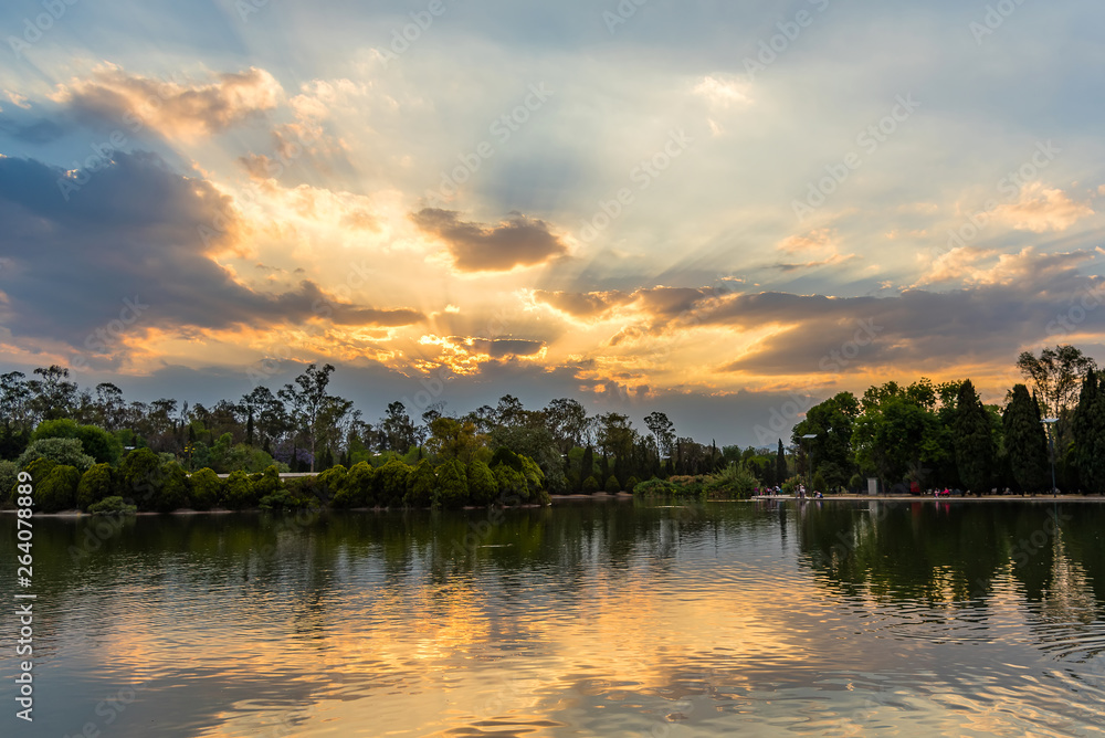 Ducks swimming in the lake, sunset 