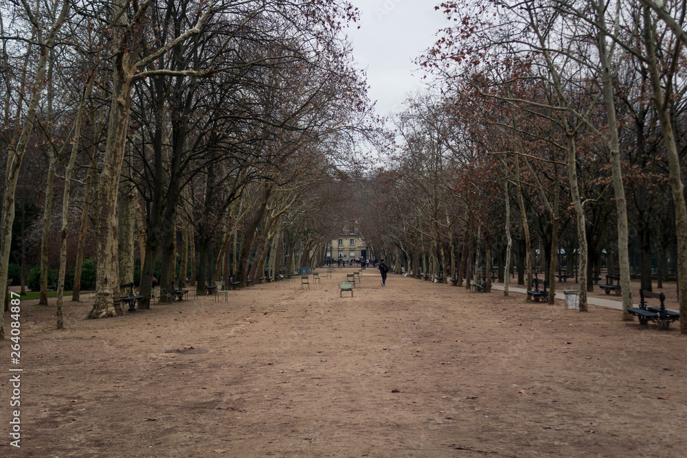 Luxembourg gardens in winter Luxembourg gardens in winter