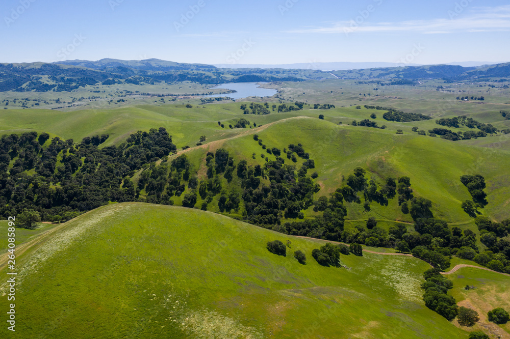 An aerial view of rolling hills in Northern California's tri-valley region shows lush, green grass that flourished after a wet winter. This beautiful area generally has a very hot, dry climate. 