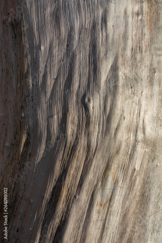 Abstract Wood