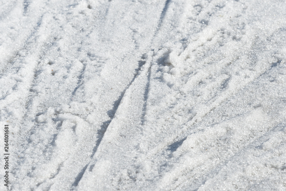 Early spring snow texture close up. Abstract natural background Early spring snow texture close up. Abstract natural background