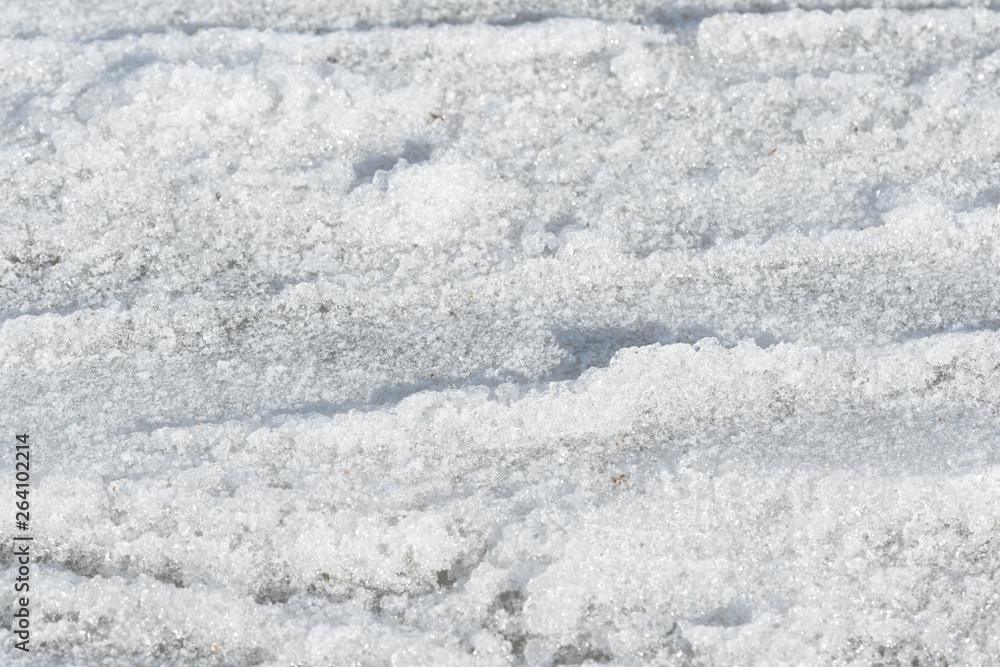 Fototapeta premium Early spring snow texture close up. Abstract natural background