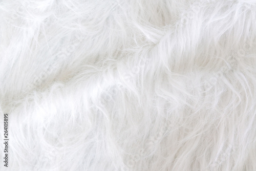 Close up white fur texture or carpet for background