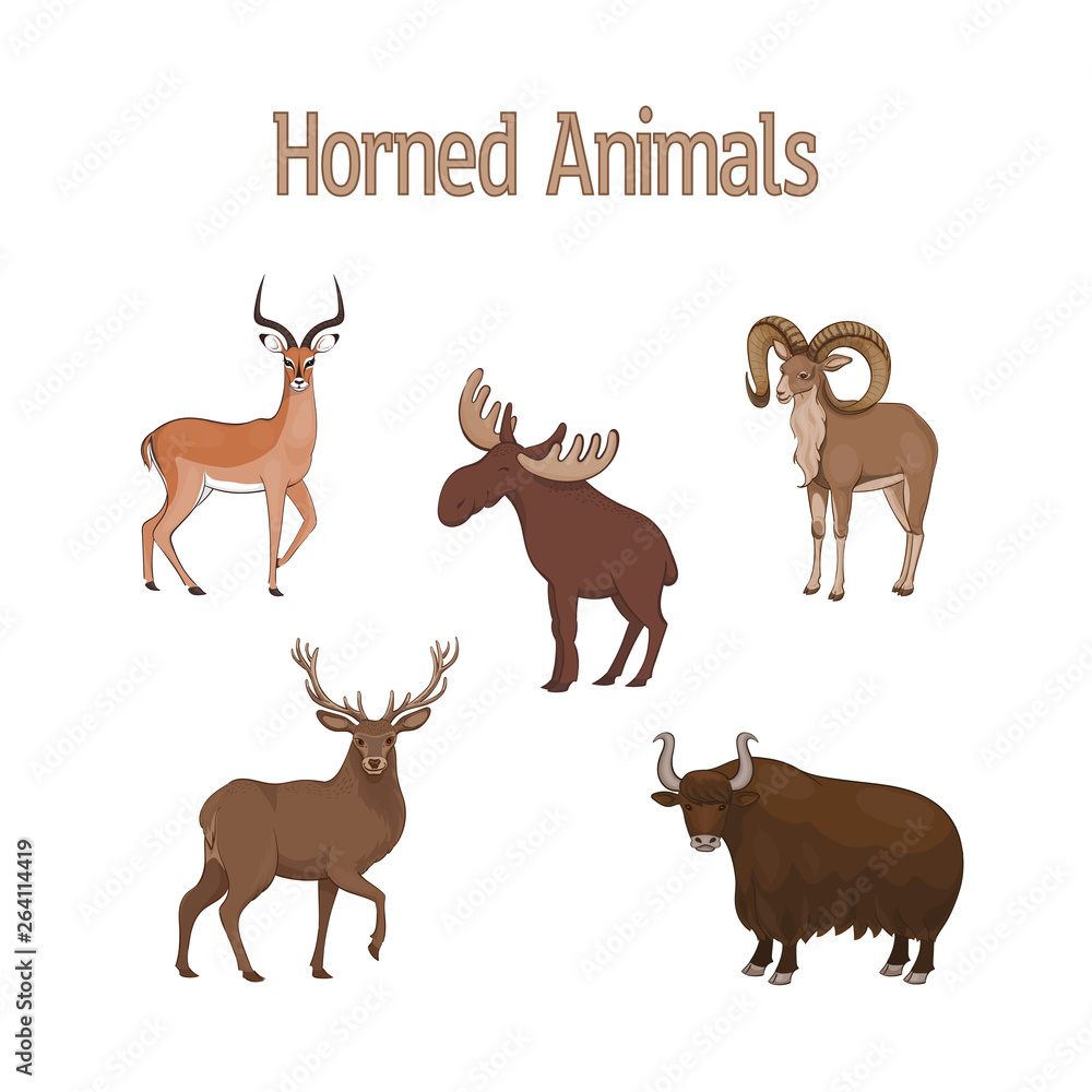 Vector illustration, set of cartoon cute horned animals. Impala, urial, deer, yak elk