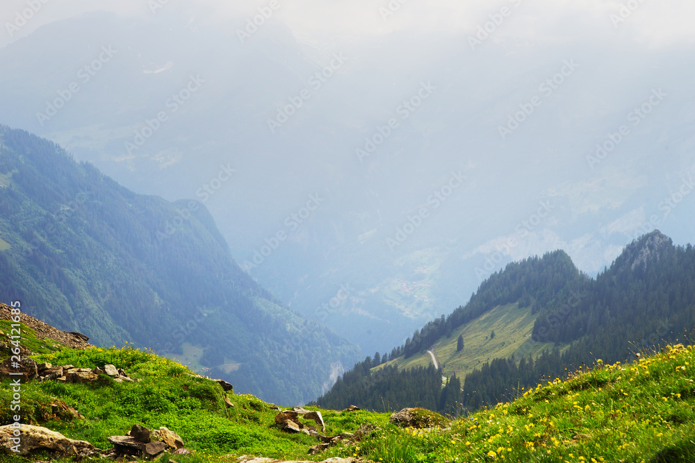 Fototapeta premium Alpine peaks of Grindelwald and Jungfrau. Landskape background of Bernese highland. Alps, tourism, journey, hiking concept.
