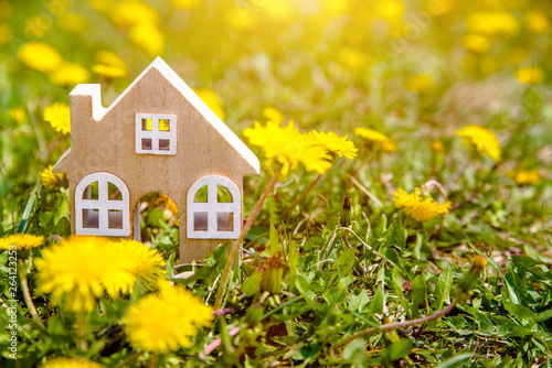 The symbol of the house stands among the yellow dandelions