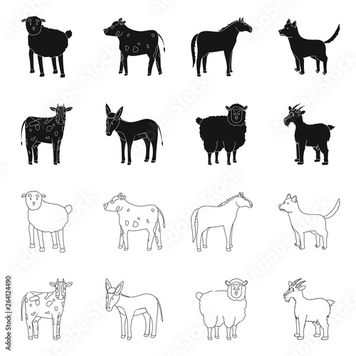 Vector illustration of breeding and kitchen sign. Set of breeding and organic vector icon for stock.