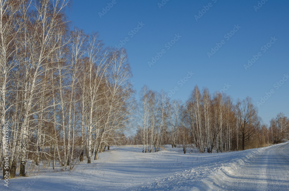 Obraz premium panorama of the winter landscape in central siberia