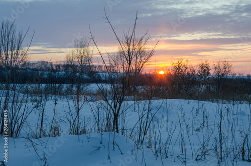 Fototapeta Naklejka Na Ścianę i Meble -  winter sunset in the Siberian Outback