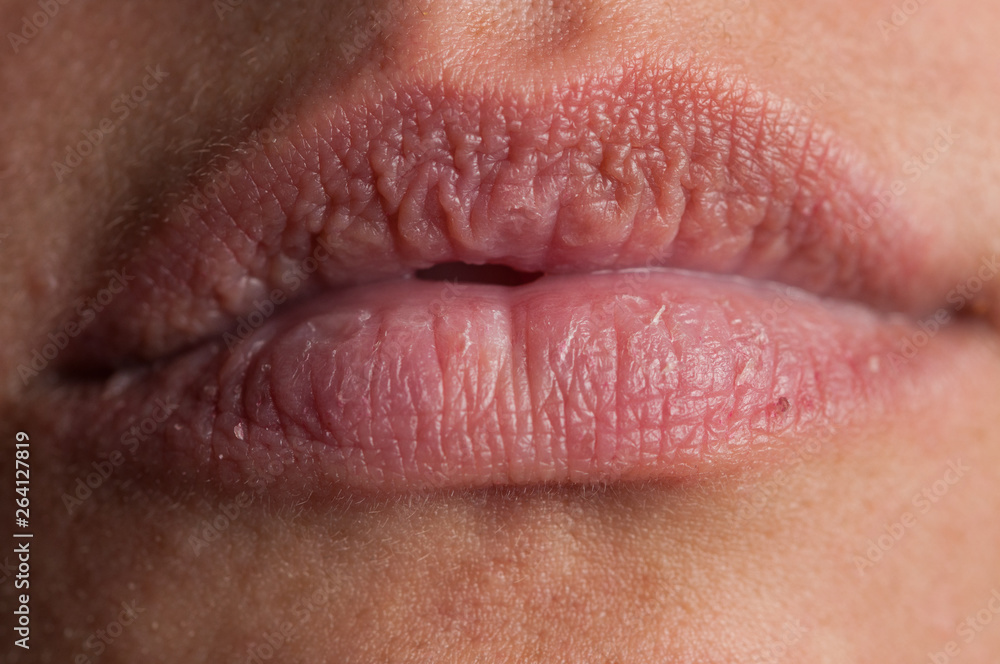 beautiful lips of an adult woman beautiful lips of an adult woman