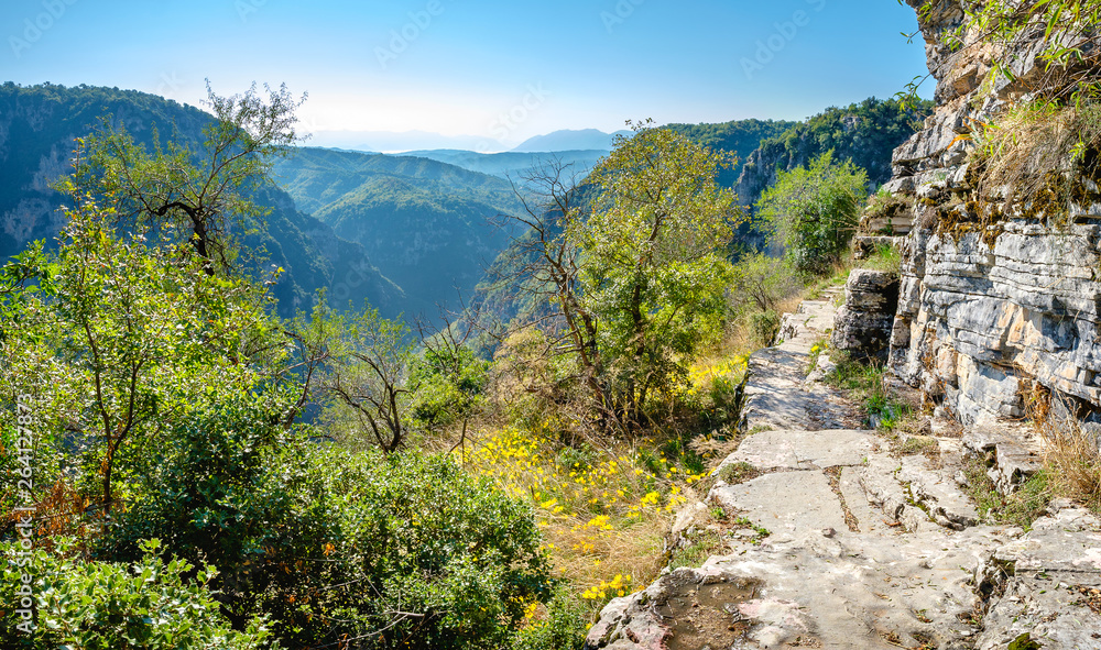 Edge of Vikos gorge. Zagoria, Epirus, Greece