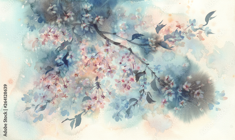 White sakura flower blossom on a dark background watercolor. - obrazy, fototapety, plakaty 