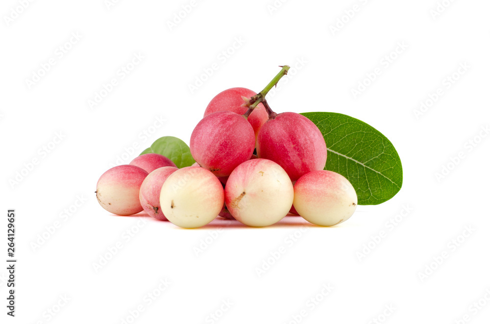 Set of fresh Carunda or Carissa carandas isolated on white background Set of fresh Carunda or Carissa carandas isolated on white background