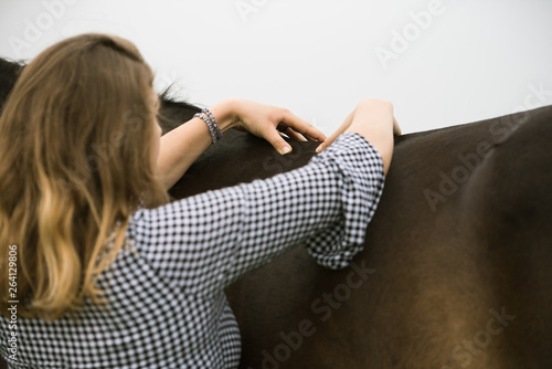 Physiontherapeutin am Pferd