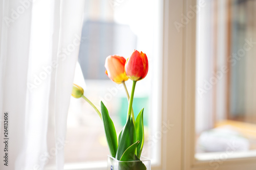 Wunderschöne Tulpen in einer Blumenvase