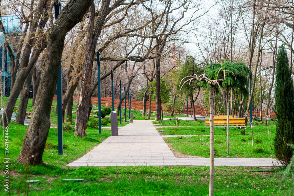 Obraz premium Park path