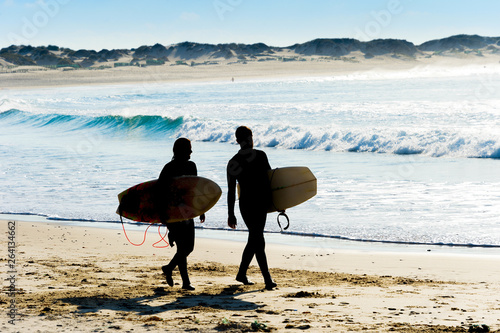 Couple surfers walking ocea...
