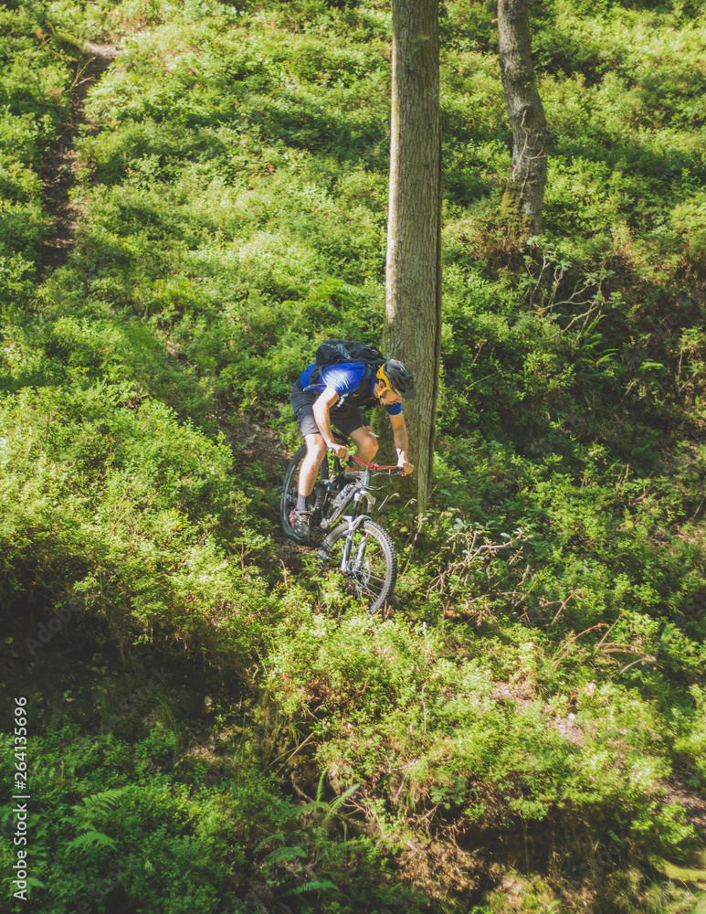 Naklejka premium Adventurous mountain biker rides steep downhill in woodland