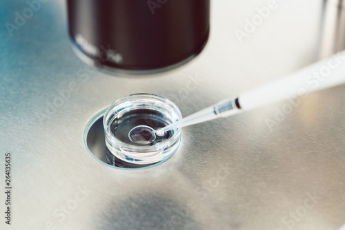 Obraz na plátne Lab technician or doctor putting up fertilized egg in fertility laboratory