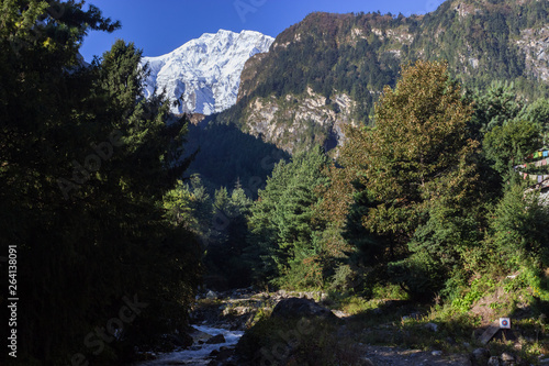 coniferous forest and the top of the mountain above it © Павел Чепелев